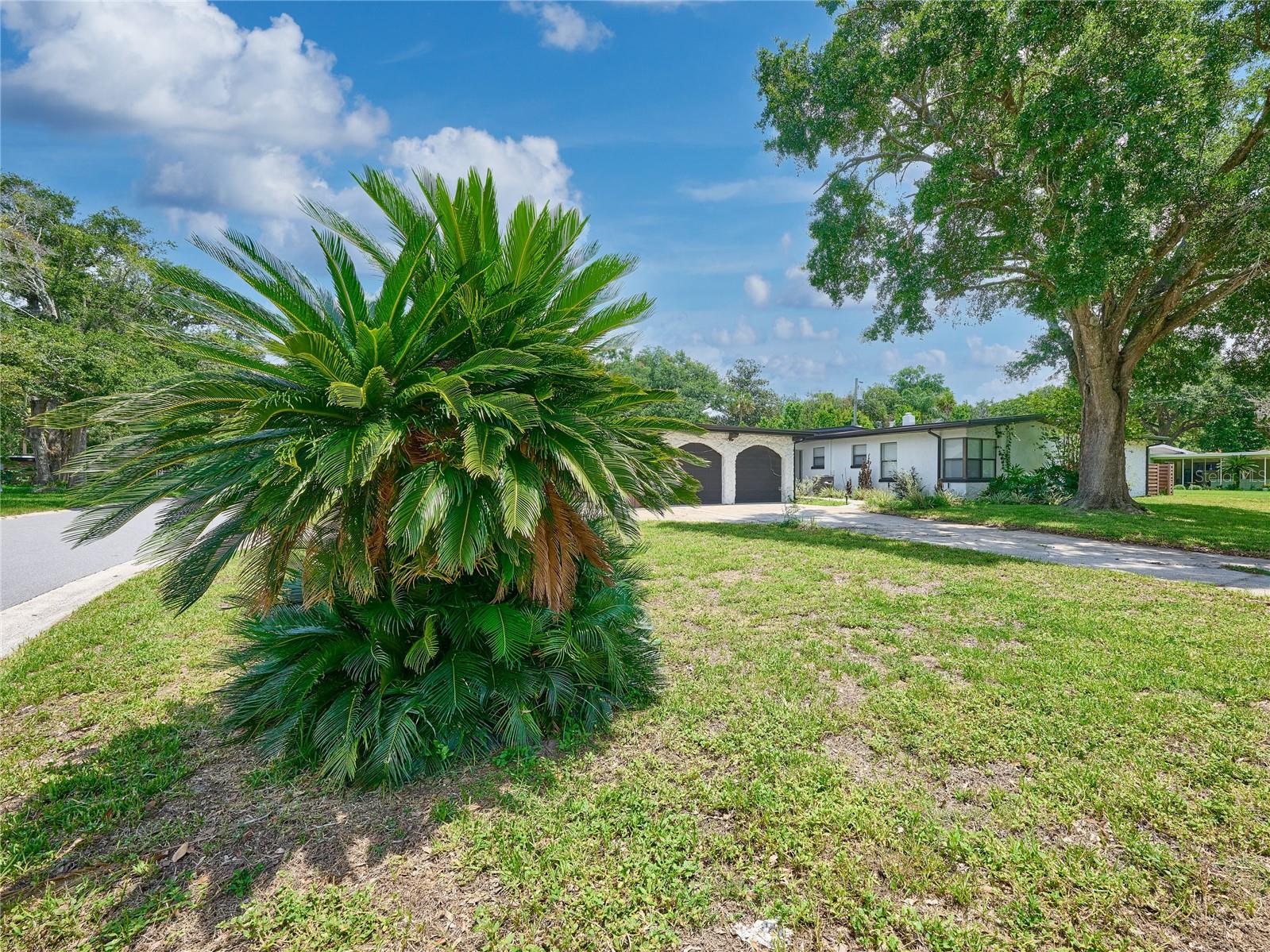 1100 CORNELL DR — photo 6