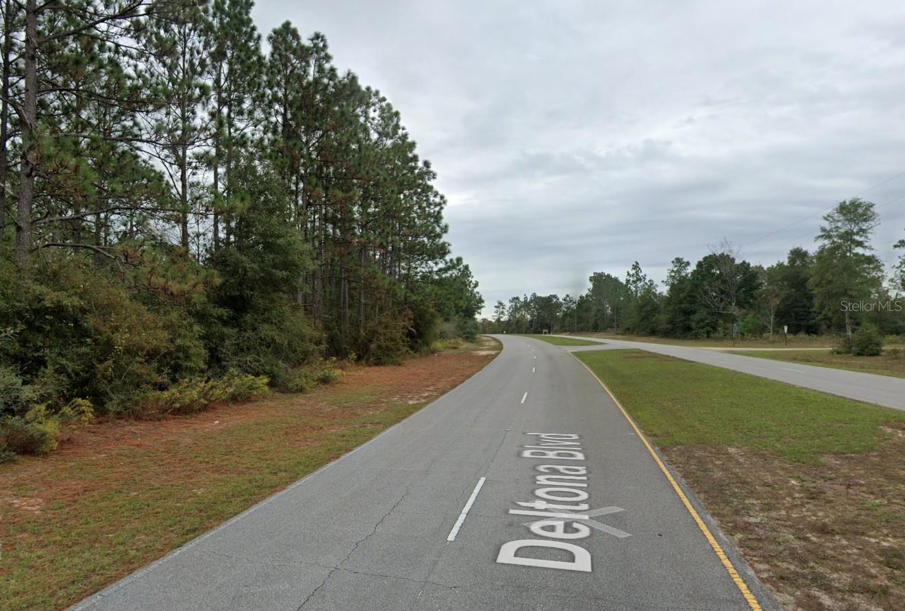 DELTONA BLVD — photo 3
