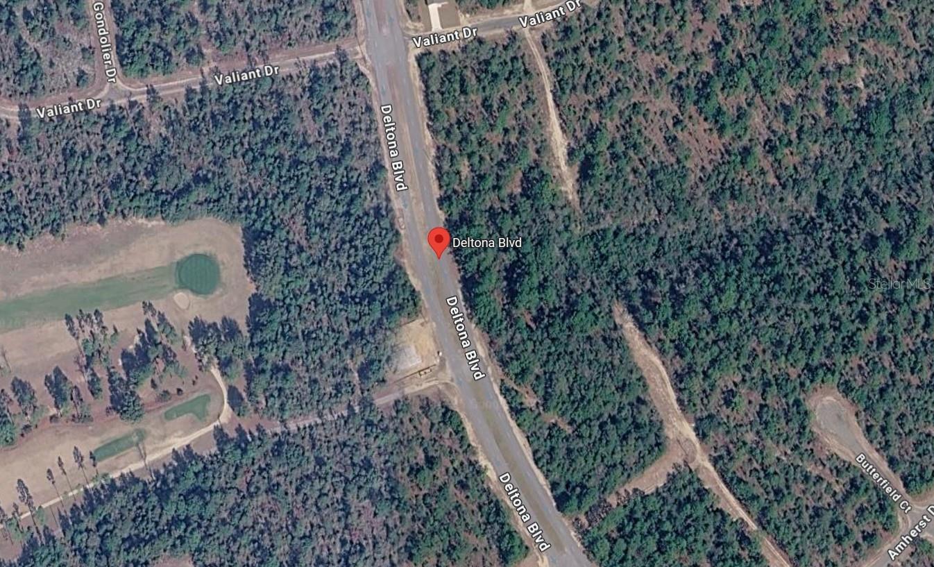 DELTONA BLVD — photo 4