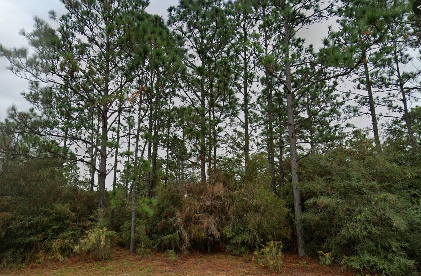 DELTONA BLVD