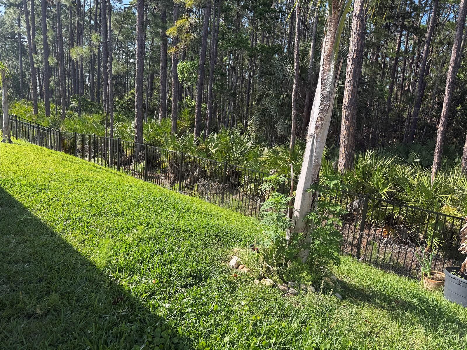 1339 MORNING WALK DR — photo 8