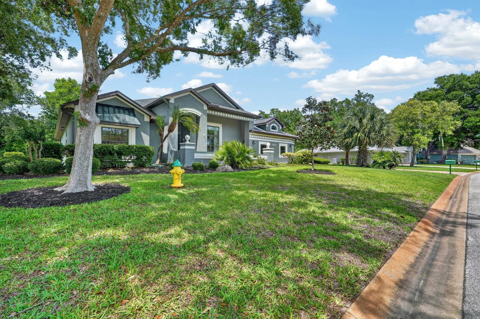 3753 MAYO CIR — photo 6