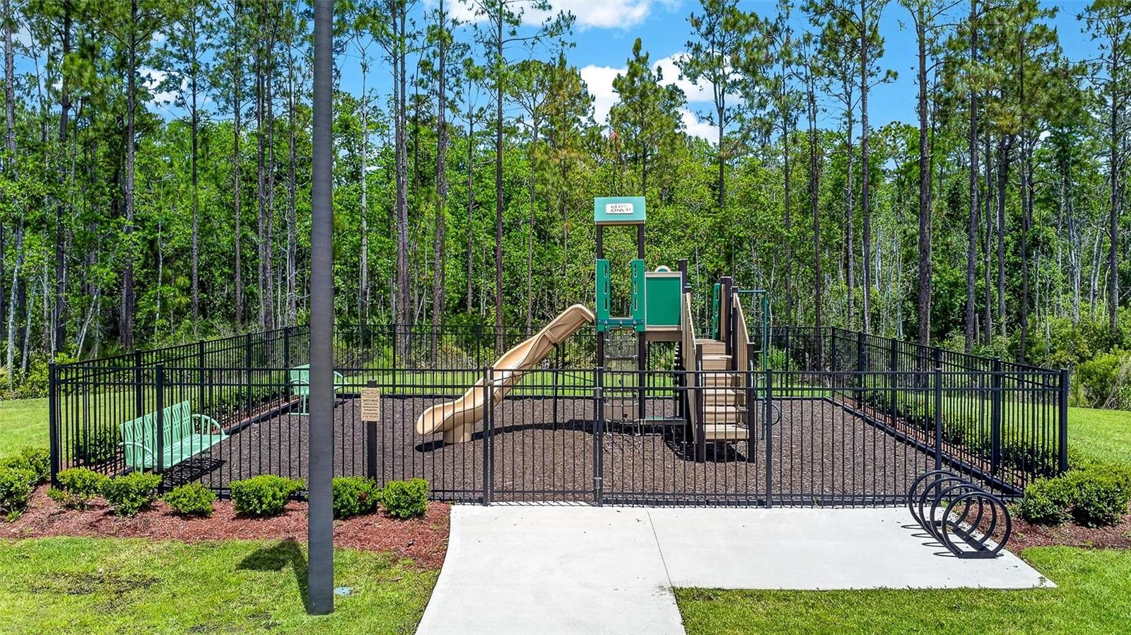 223 WINGED FOOT LN — photo 8