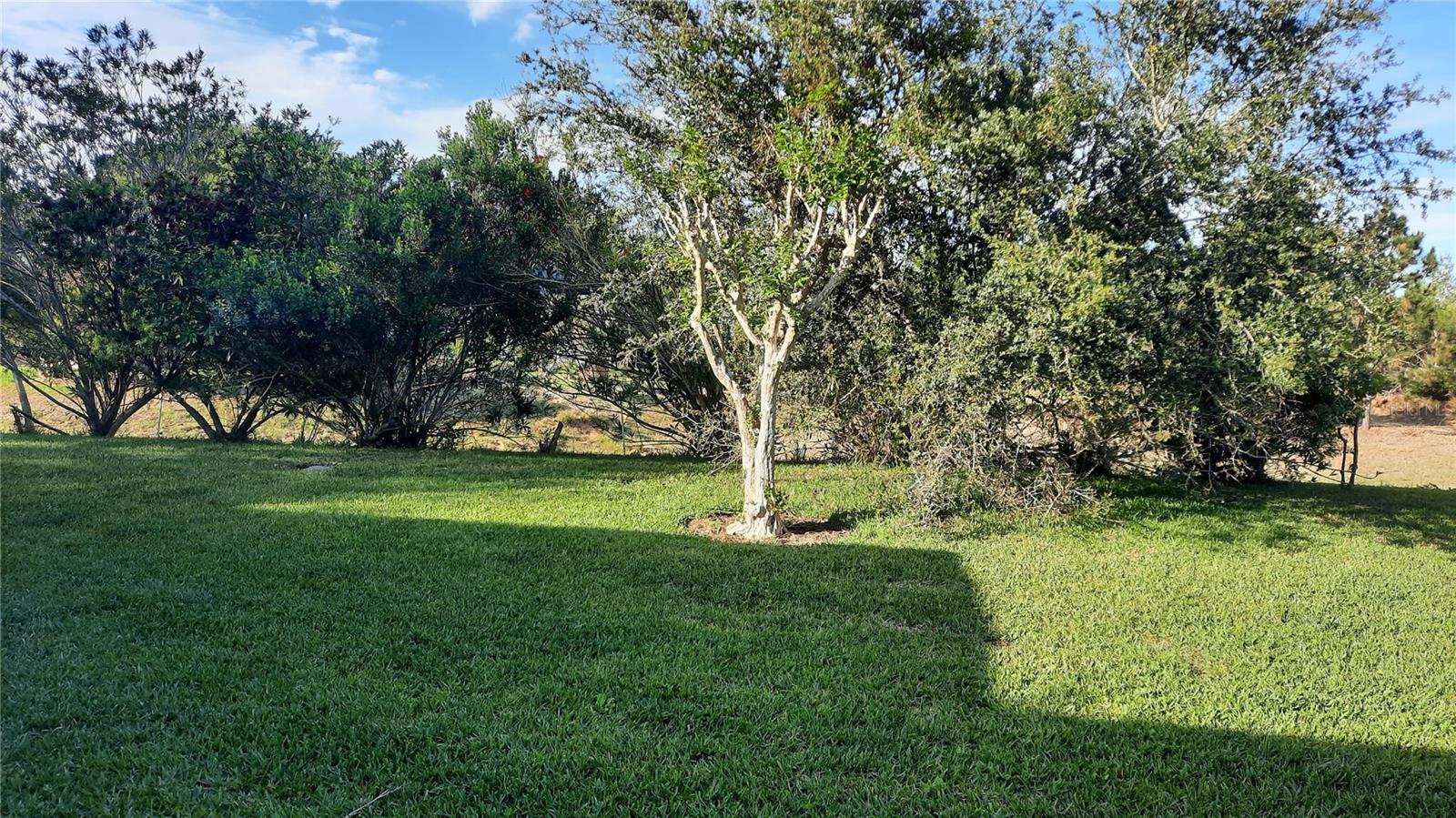 1315 ELLI CIR — photo 7