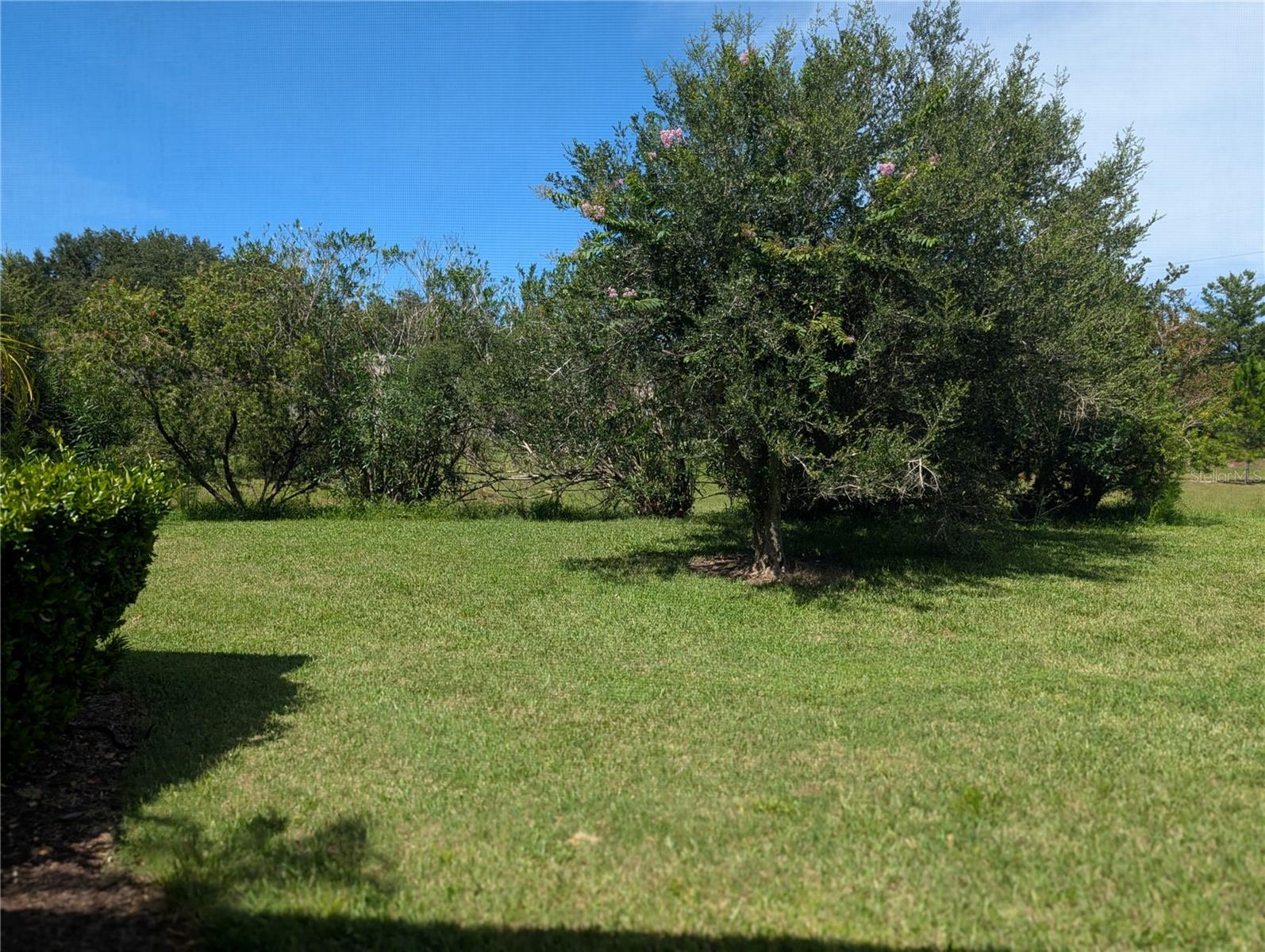 1315 ELLI CIR — photo 9