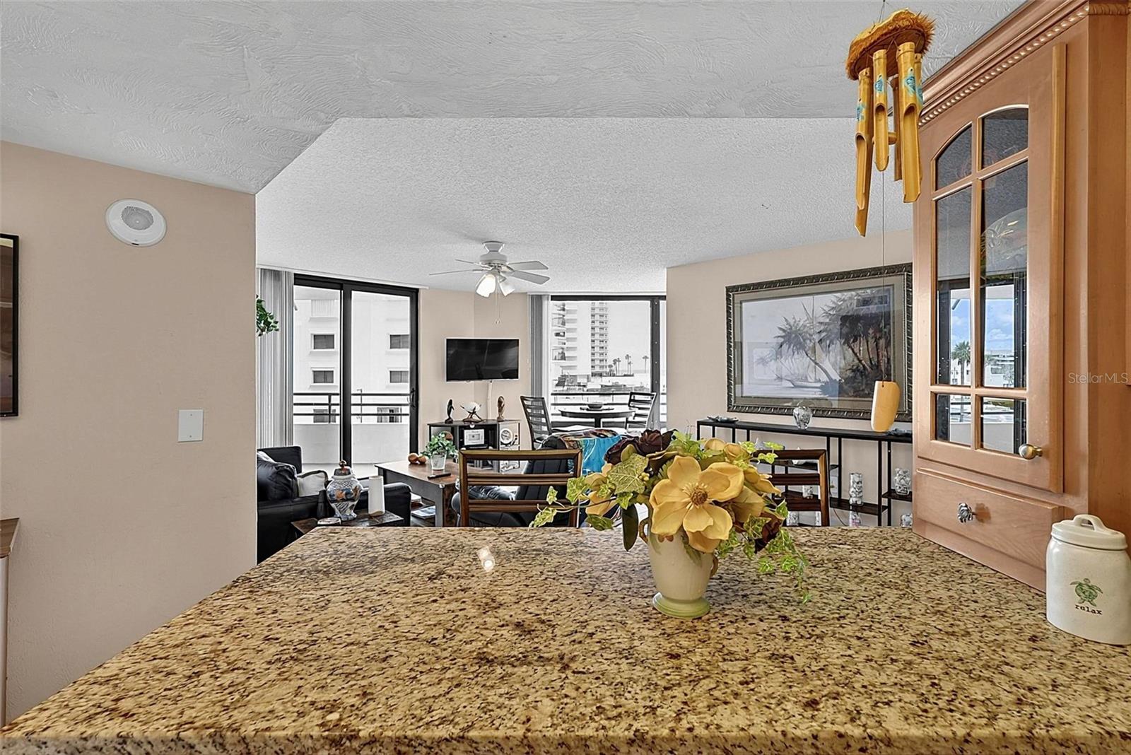 3013 S ATLANTIC AVE #2060 — photo 7