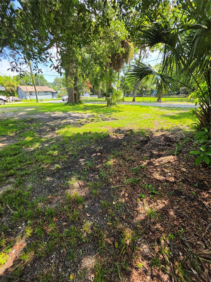 547 LIVE OAK AVE — photo 3