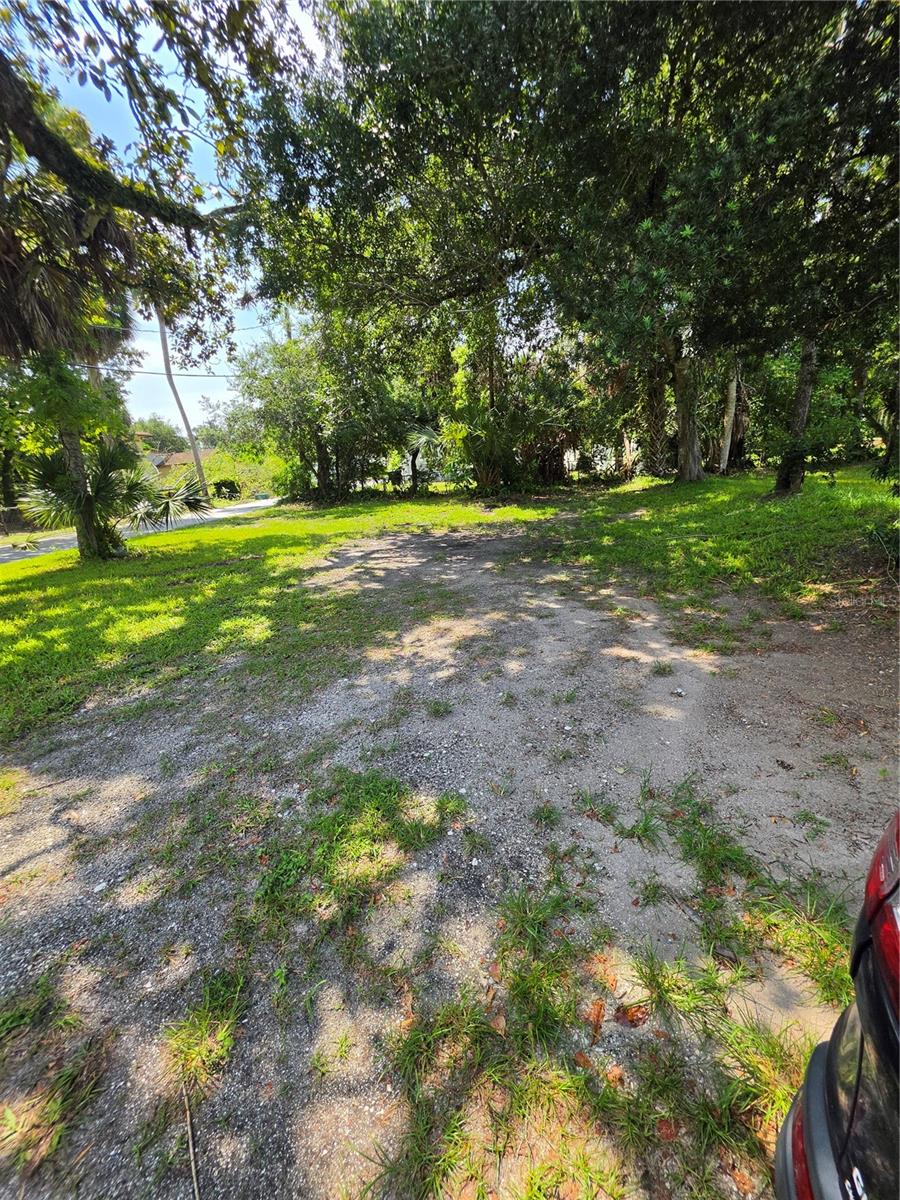 547 LIVE OAK AVE — photo 5