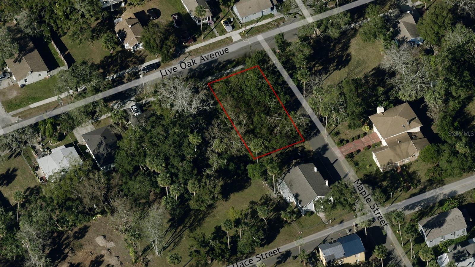 547 LIVE OAK AVE