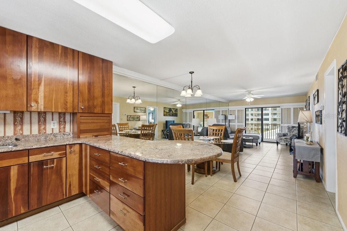 4201 S ATLANTIC AVE #503 — photo 6