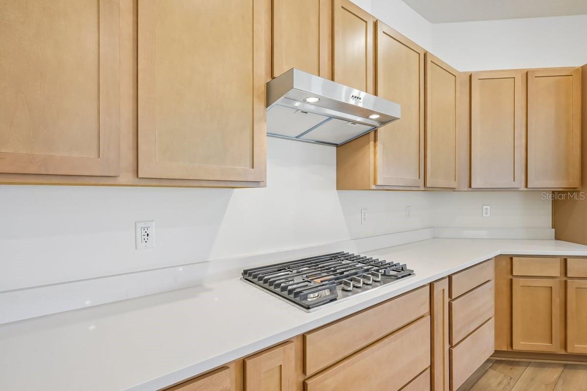 110 TEA OLIVE DR — photo 9