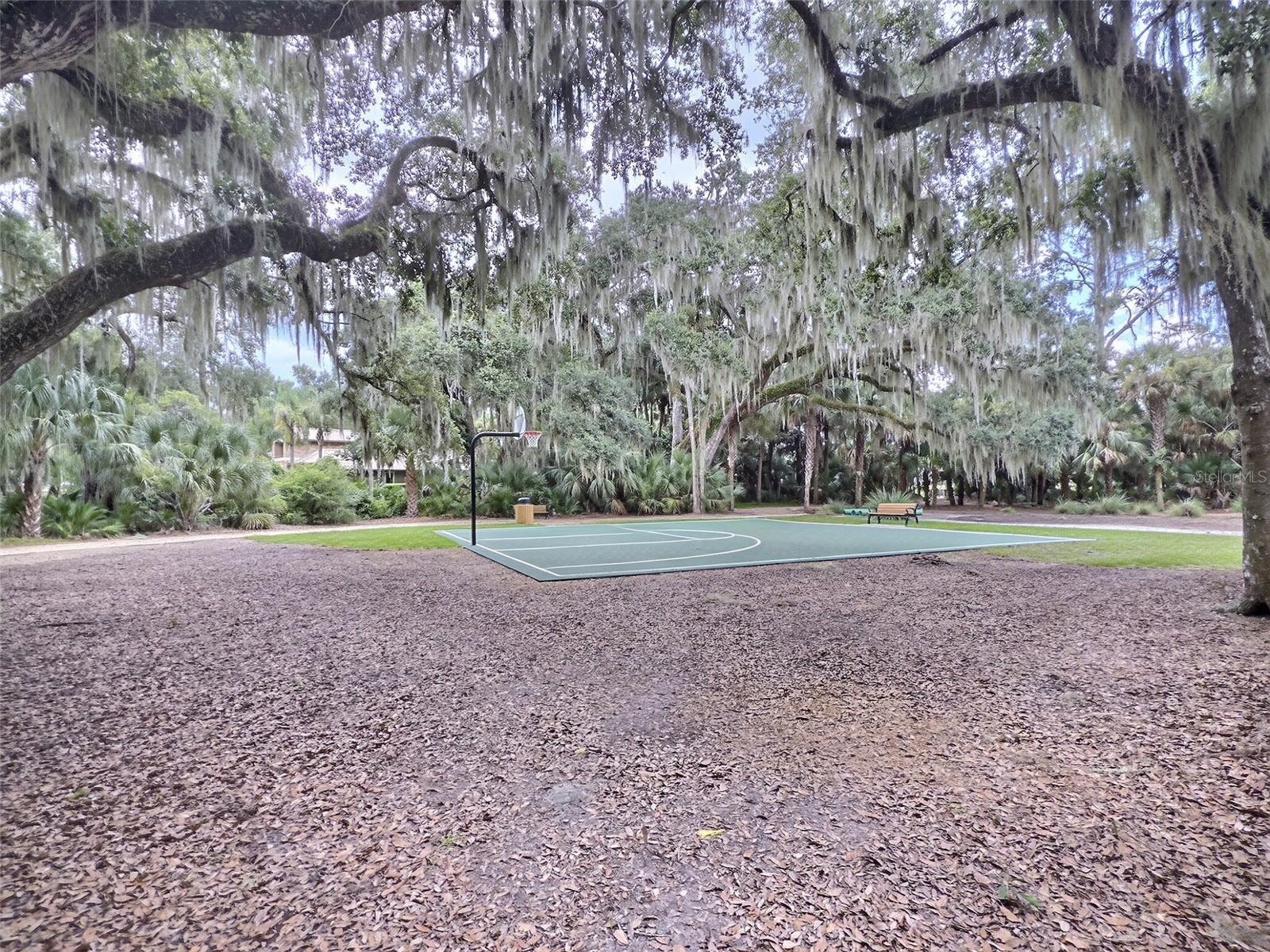 4 TURKEY OAK LN — photo 9