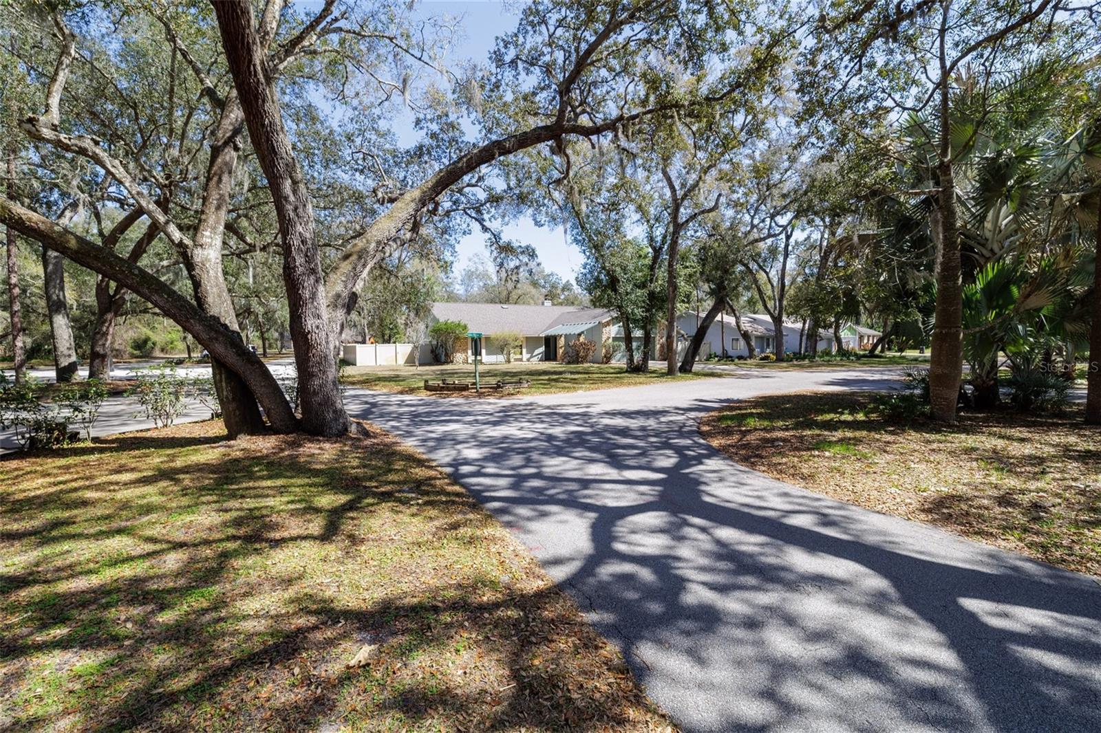 317 OAK FERN CIR — photo 2