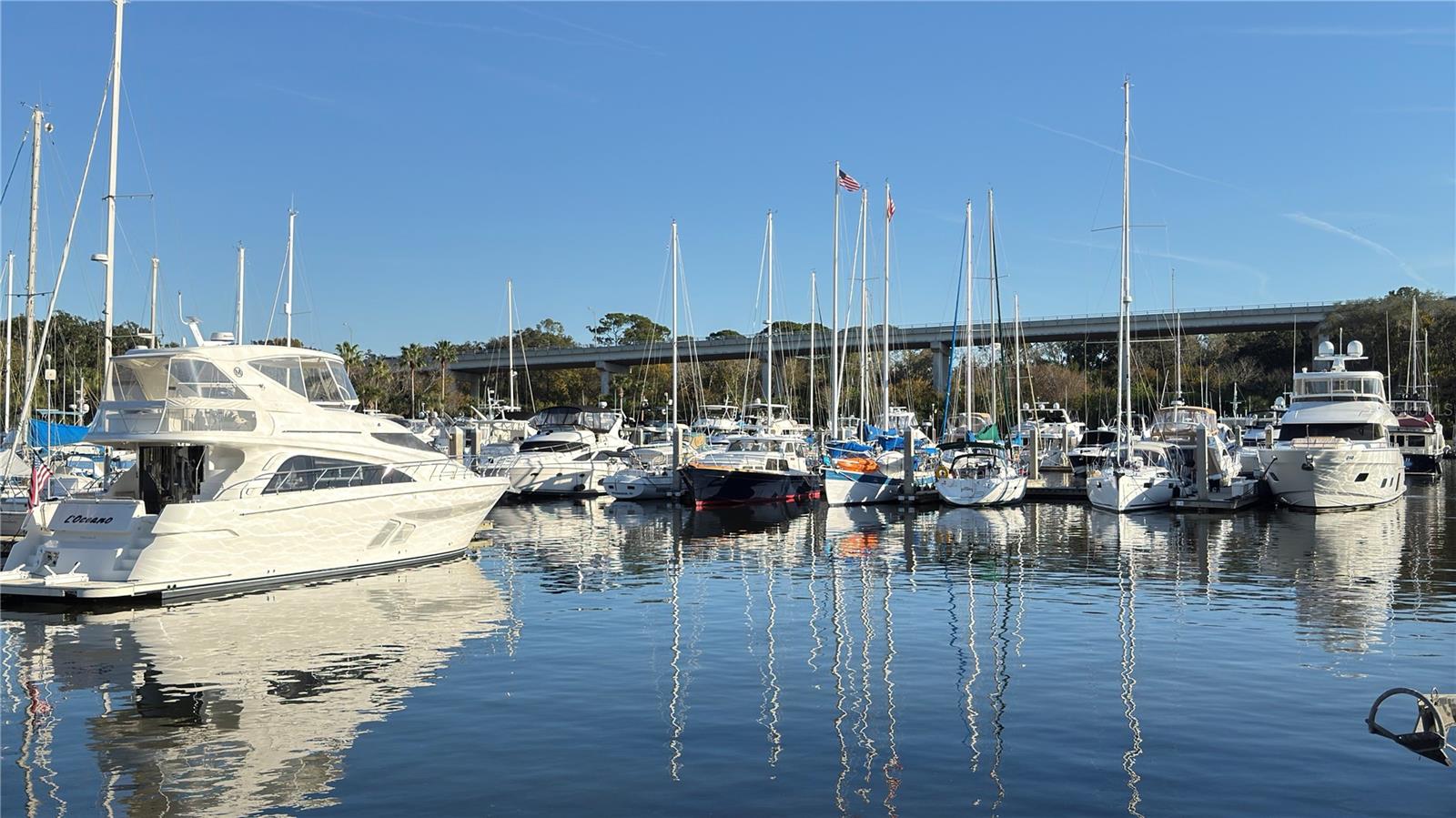 243 YACHT HARBOR DR — photo 12