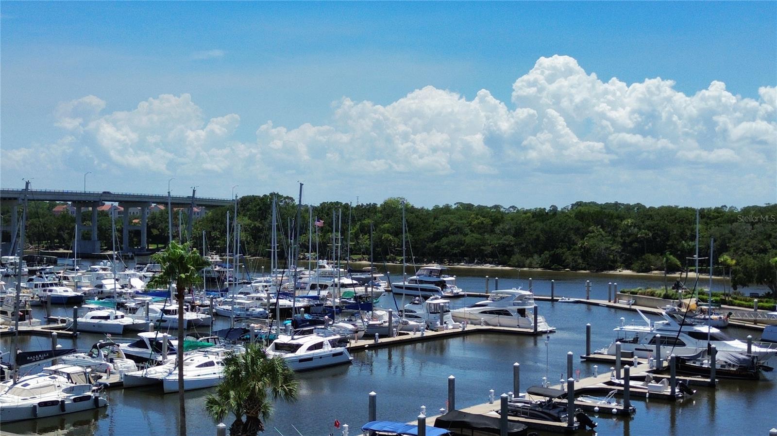243 YACHT HARBOR DR — photo 10