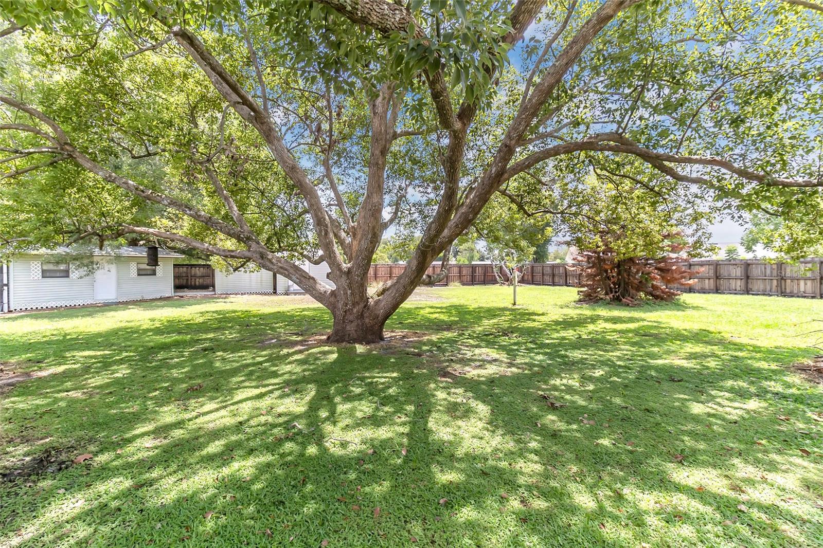 221 ODHAM DR — photo 6
