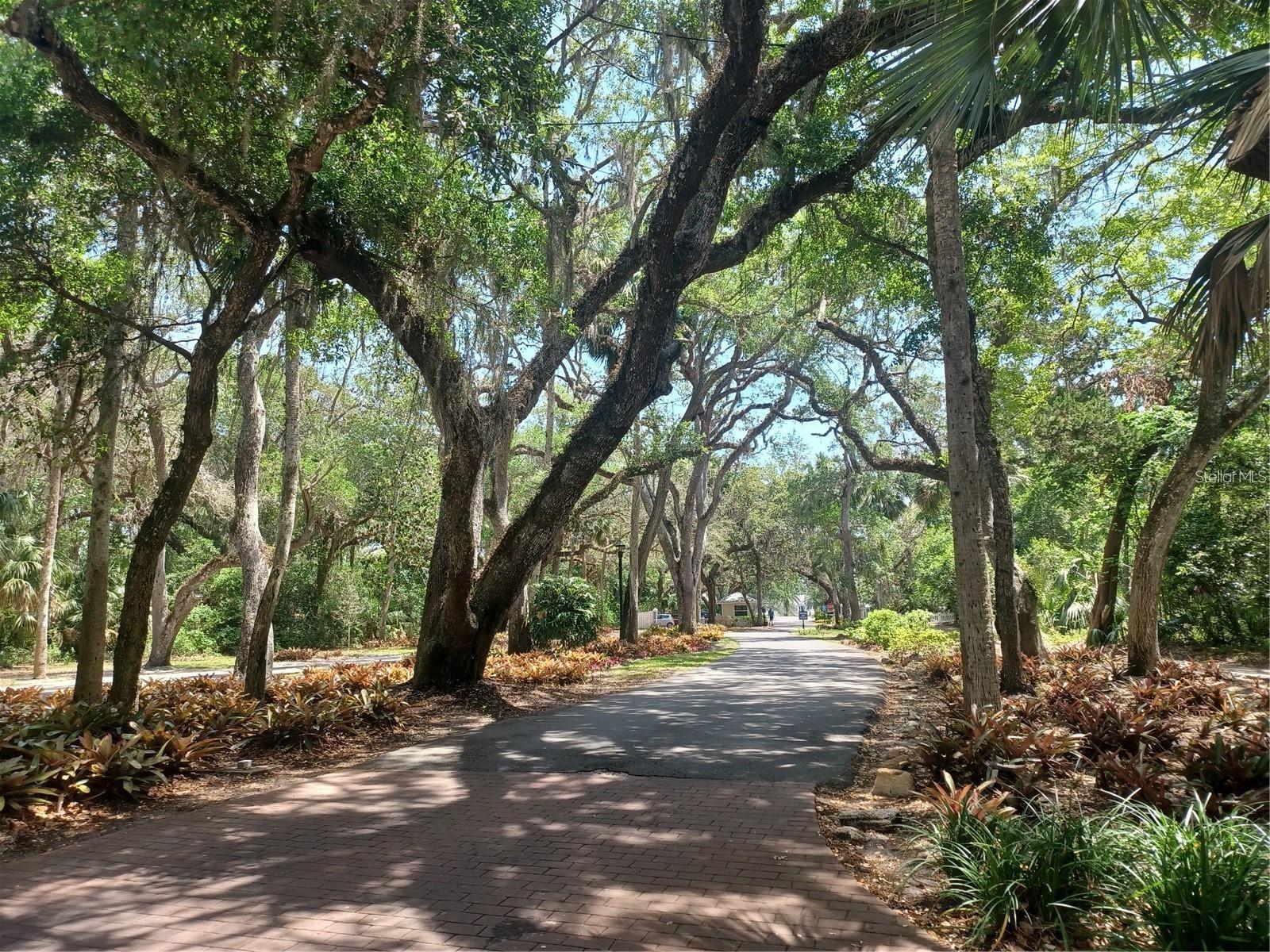 53 SEA VISTA DR — photo 8