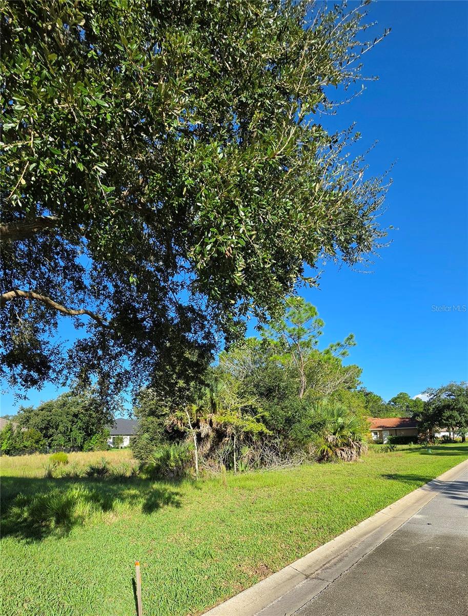 57 S OLD OAK DR — photo 3