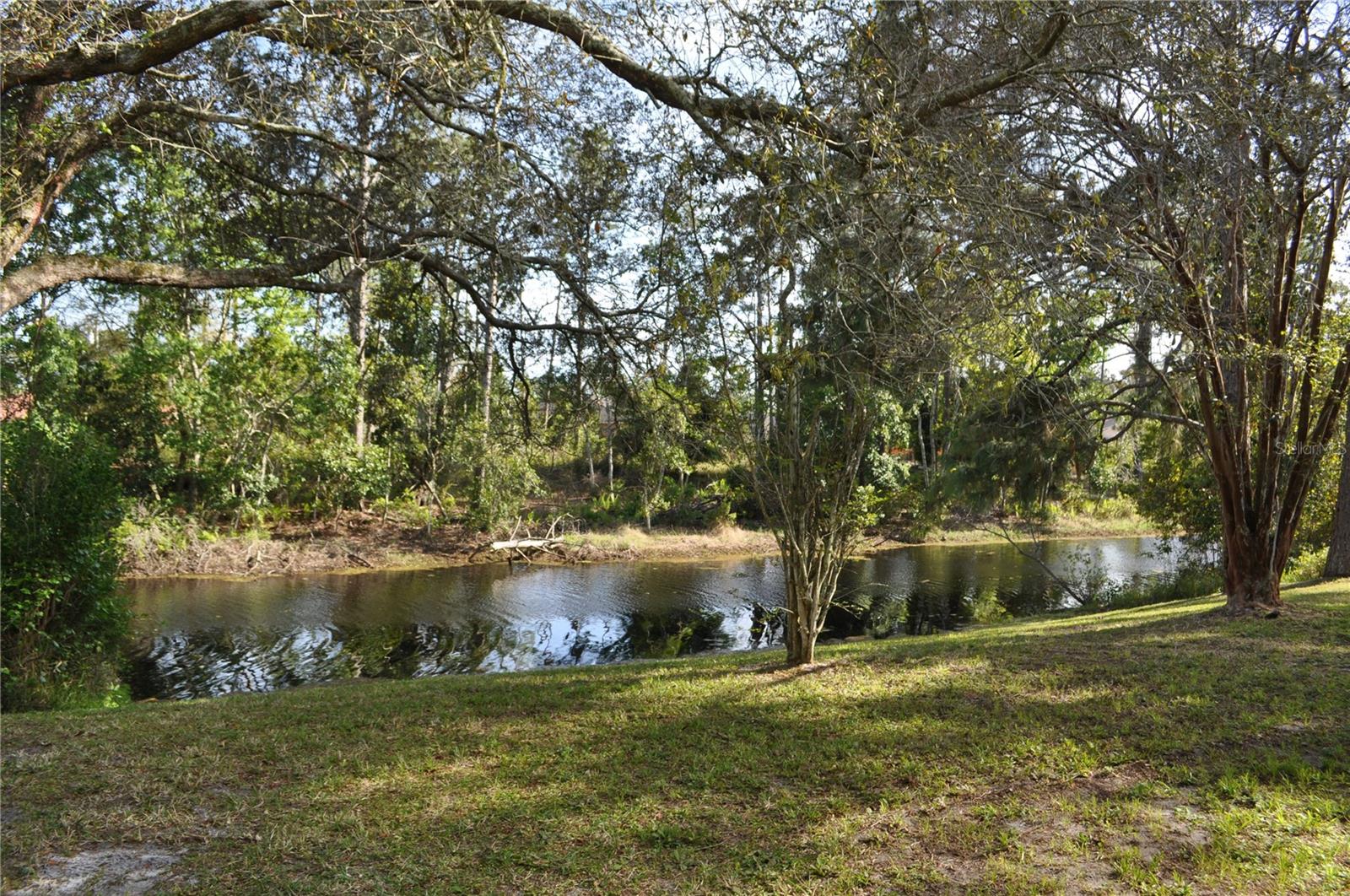 127 PERSIMMON DR — photo 9