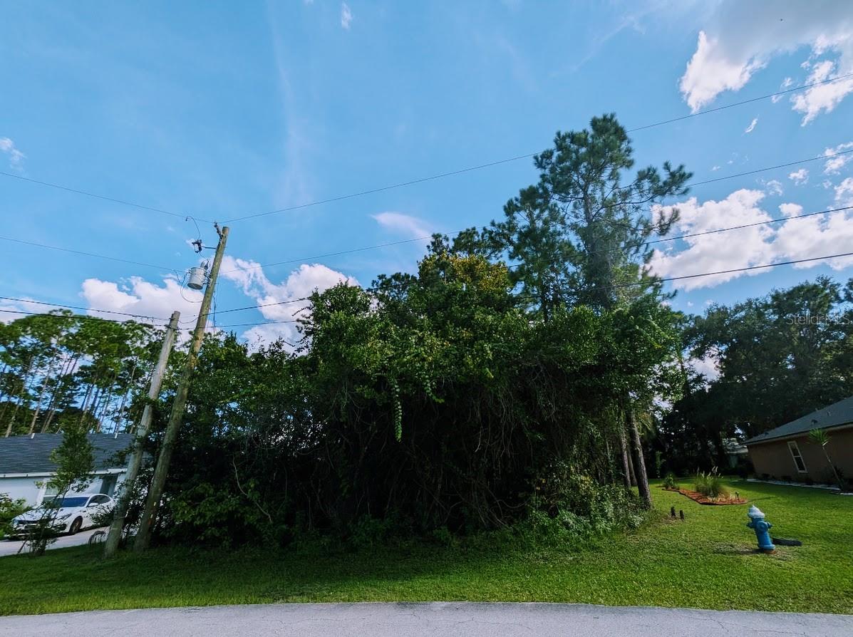 7 SECKEL CT — photo 5
