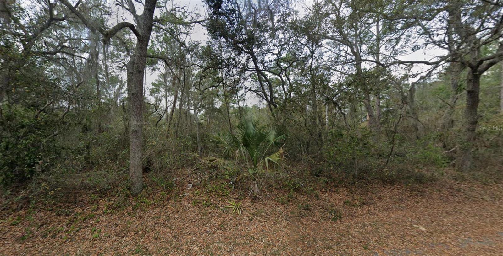 87 COURTLAND BLVD — photo 4