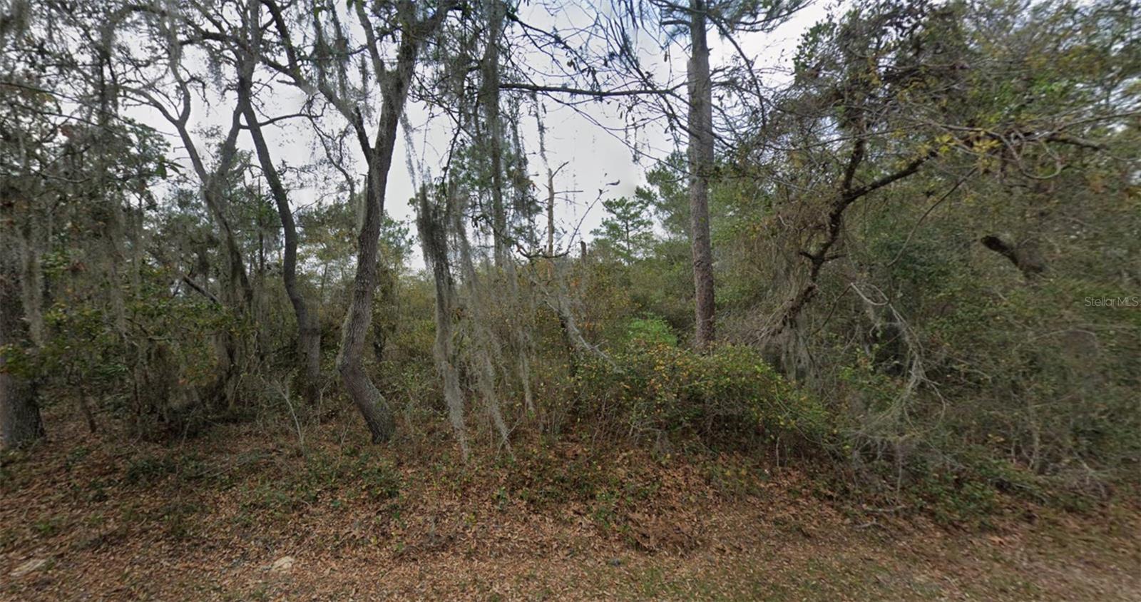 89 COURTLAND BLVD — photo 4