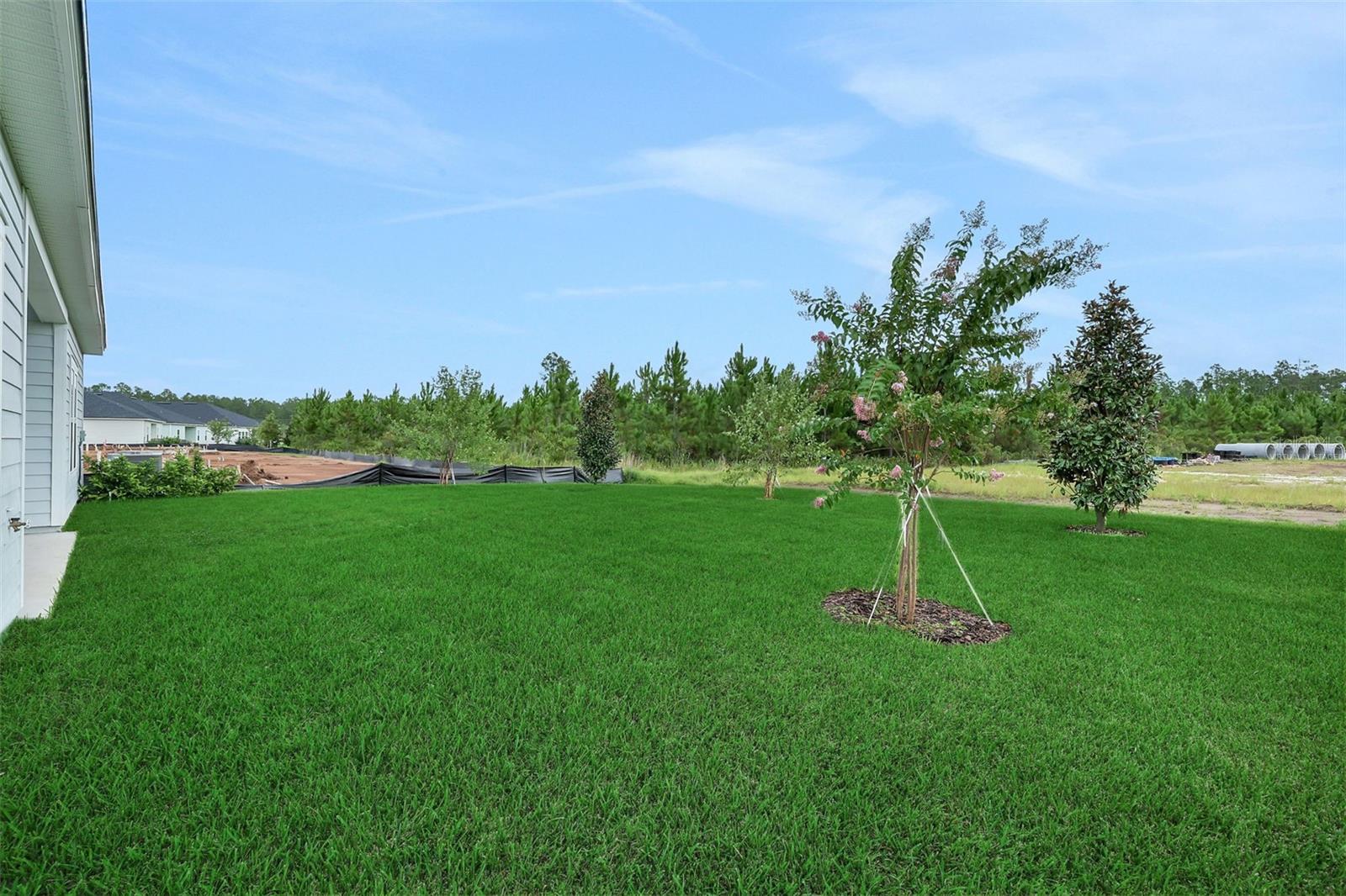 39 WINDMILL PALM WAY — photo 10