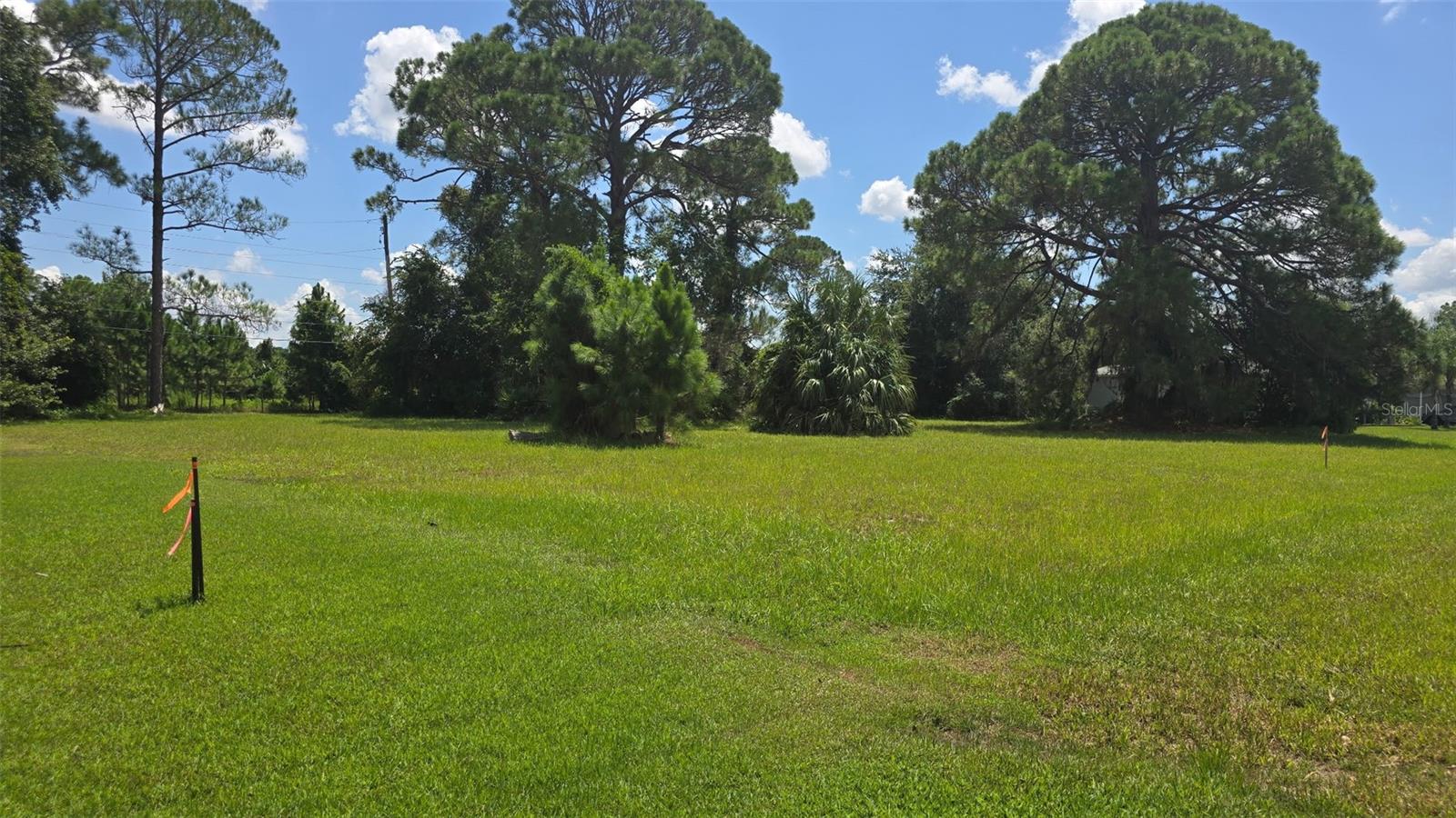 213 SHER LN #1 — photo 9