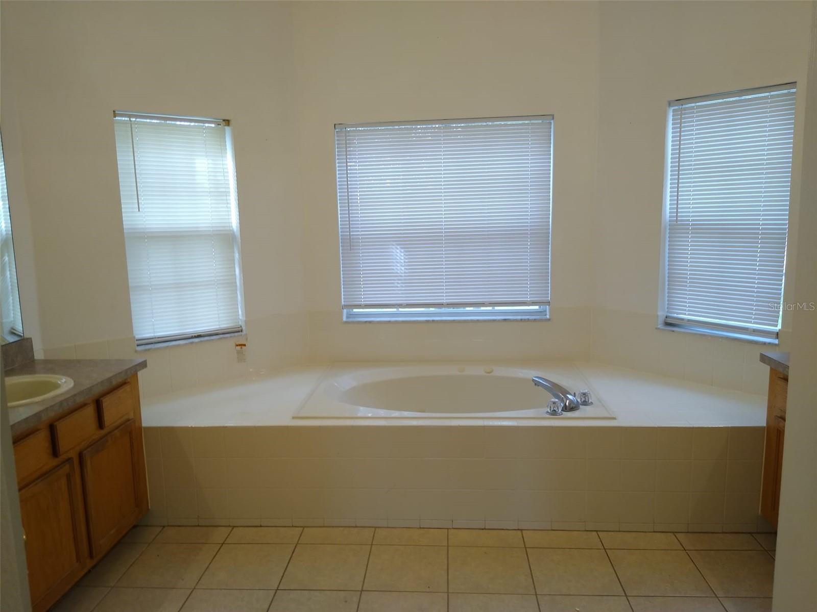 2911 SWEETSPIRE CIR — photo 5