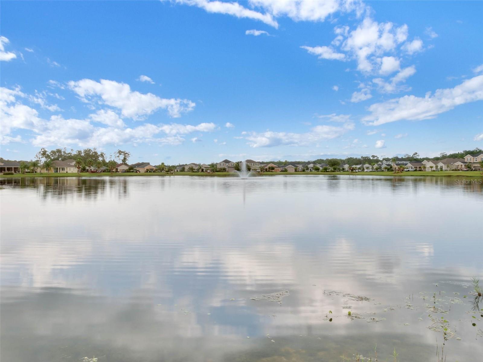 209 ASTON GRANDE DR — photo 3