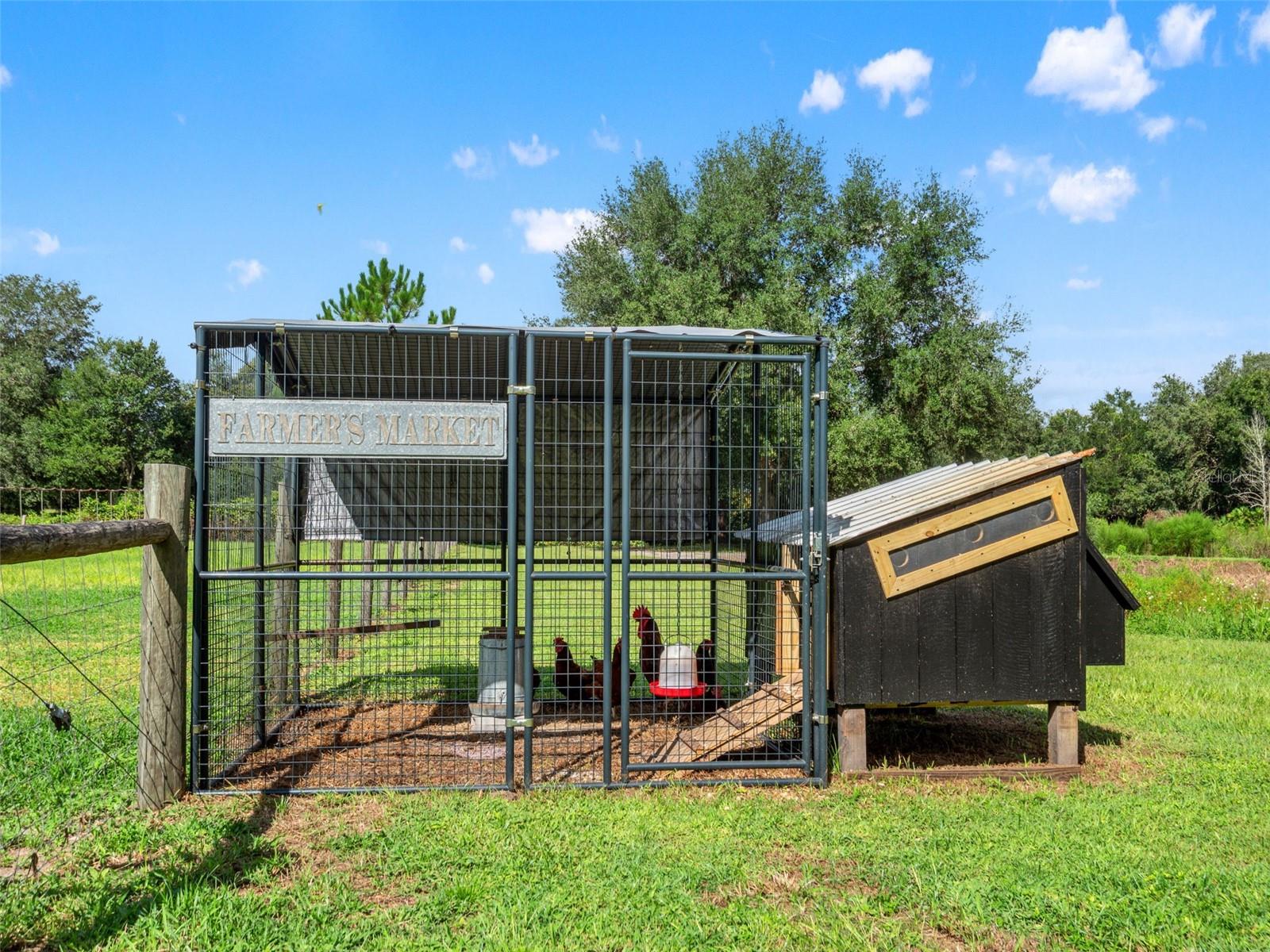 2827 HAMMOCK GROVE RD — photo 4