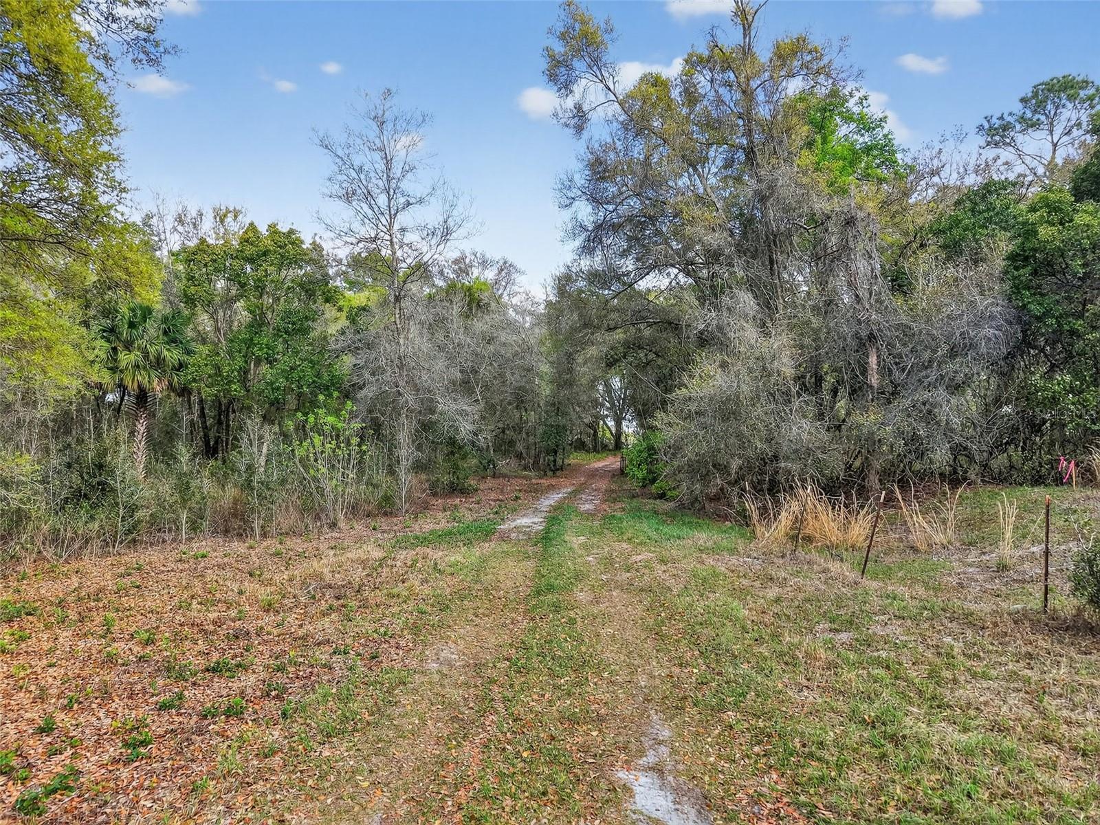 ISLAND POND LN — photo 7