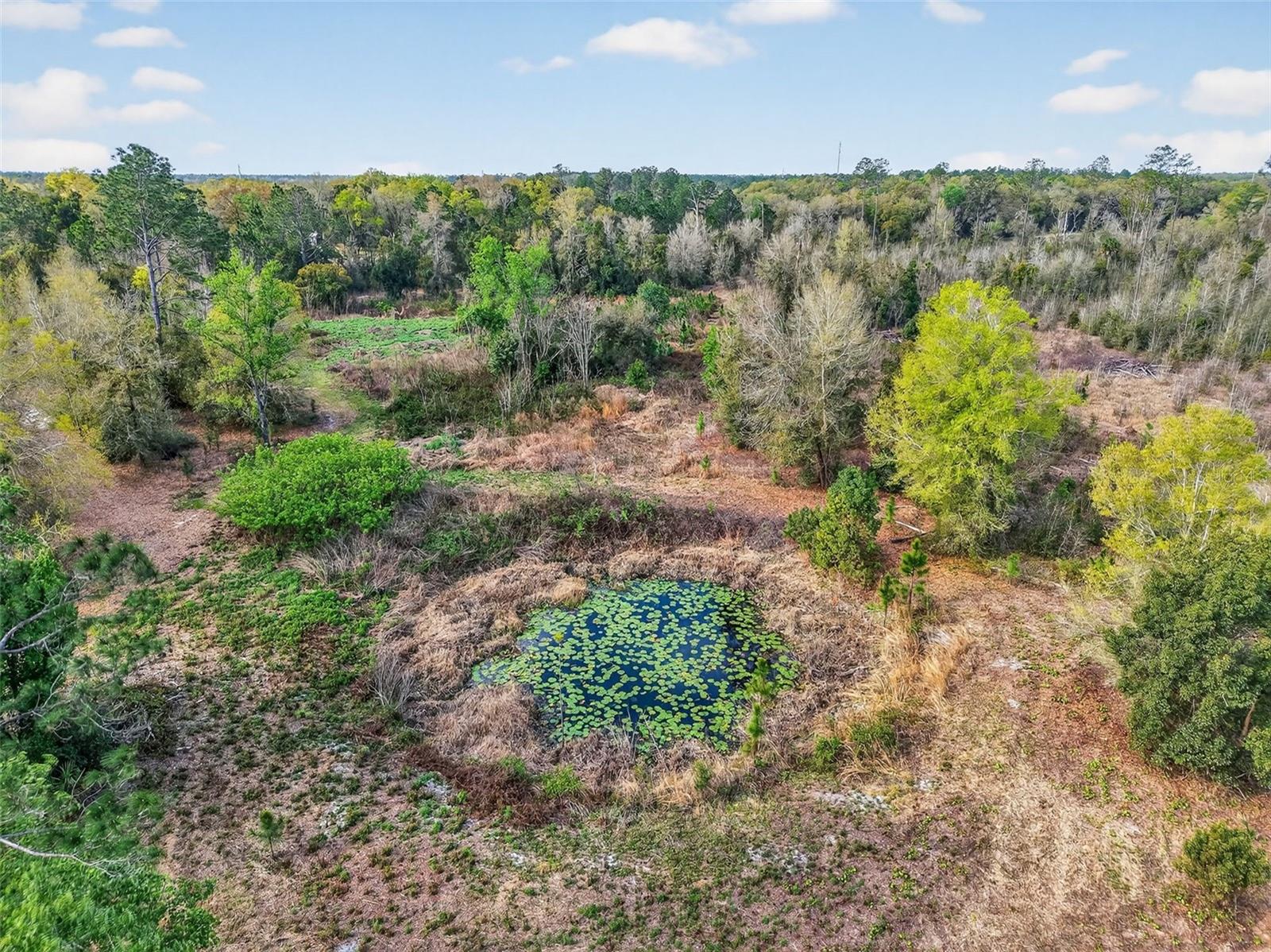 ISLAND POND LN — photo 8
