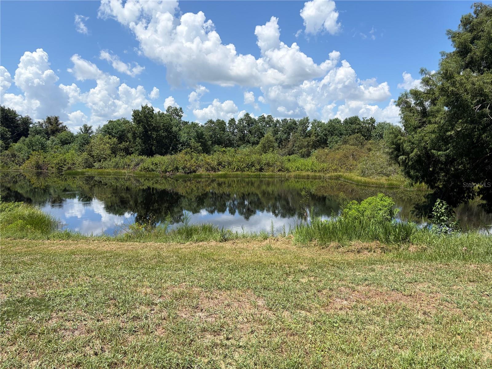 34205 RADIO RD — photo 2