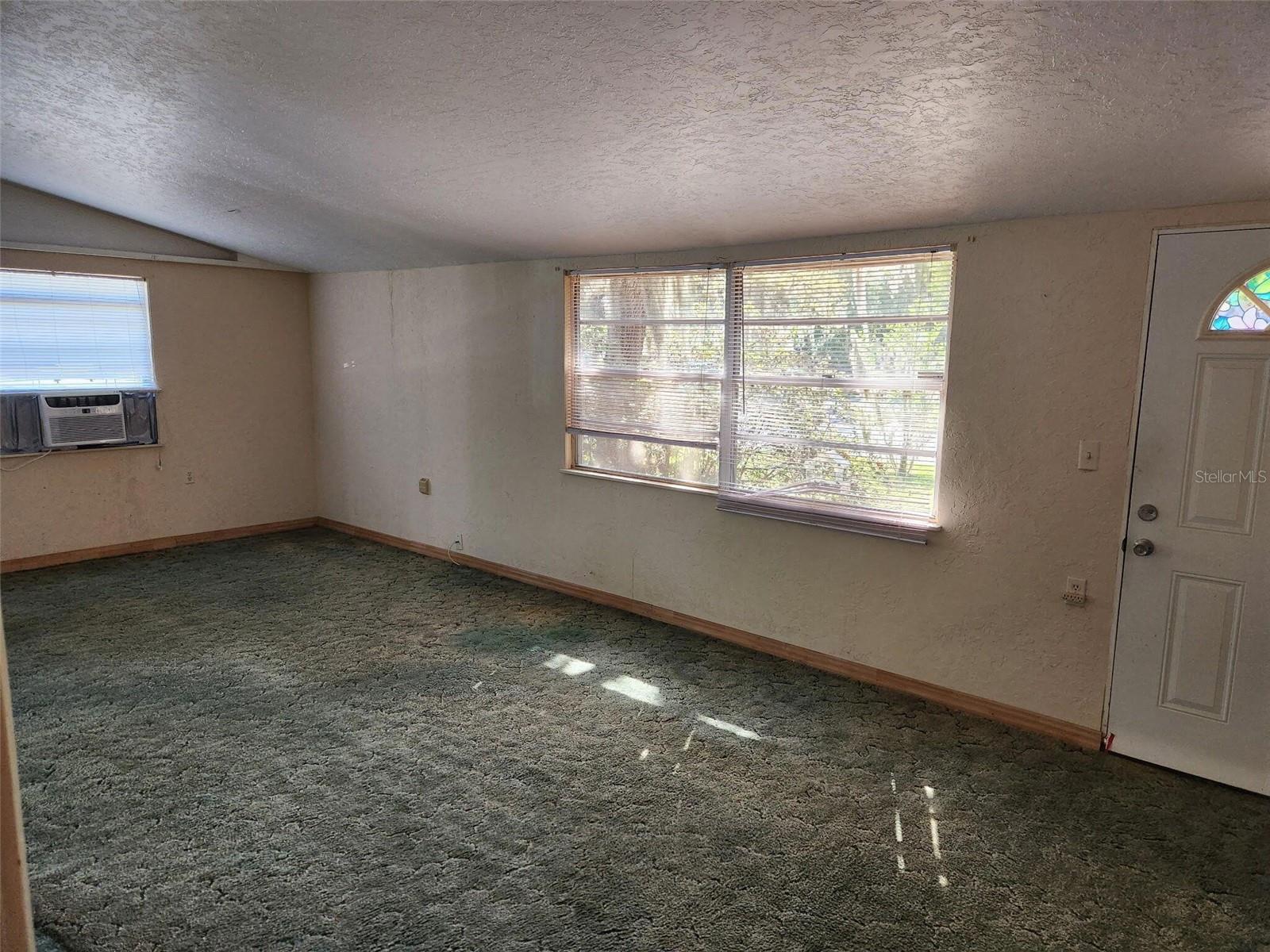2319 S SUMMERLIN AVE — photo 3