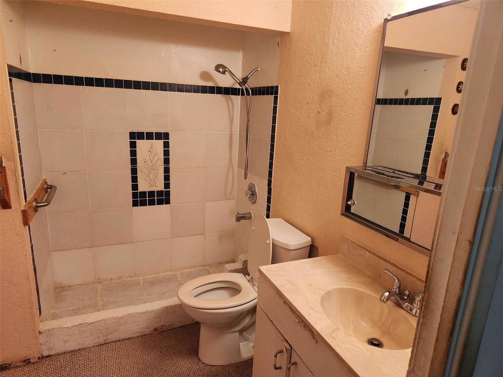2319 S SUMMERLIN AVE — photo 7