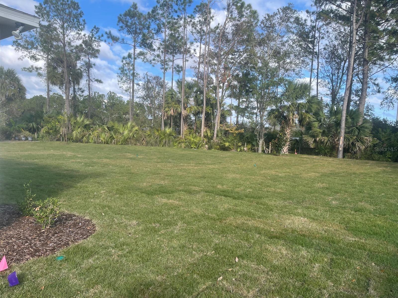 71 LUTHER DR — photo 4