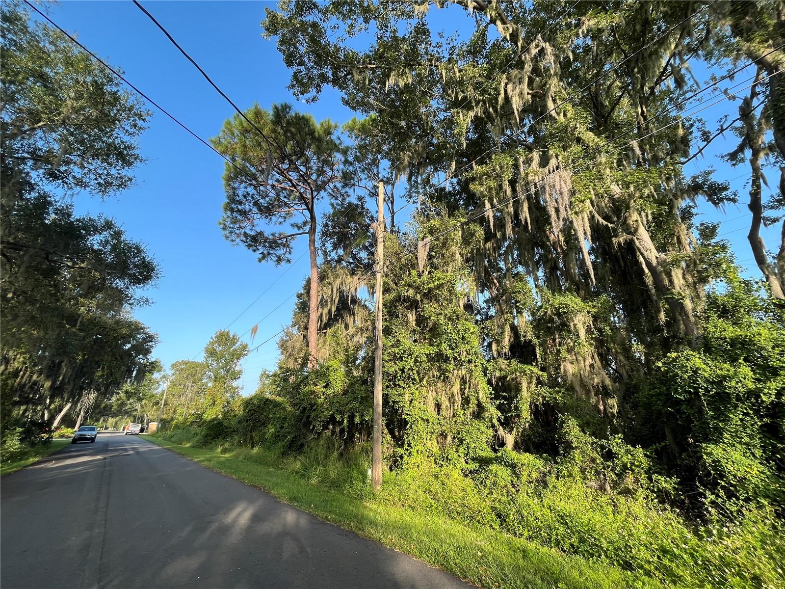 262 TOMS RD — photo 3