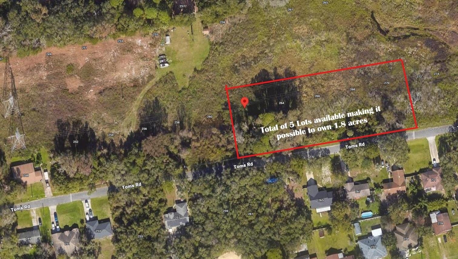 262 TOMS RD — photo 8