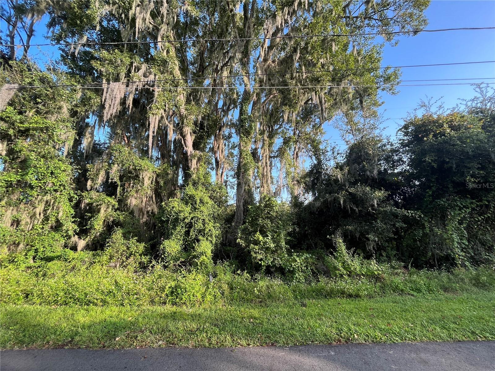 262 TOMS RD