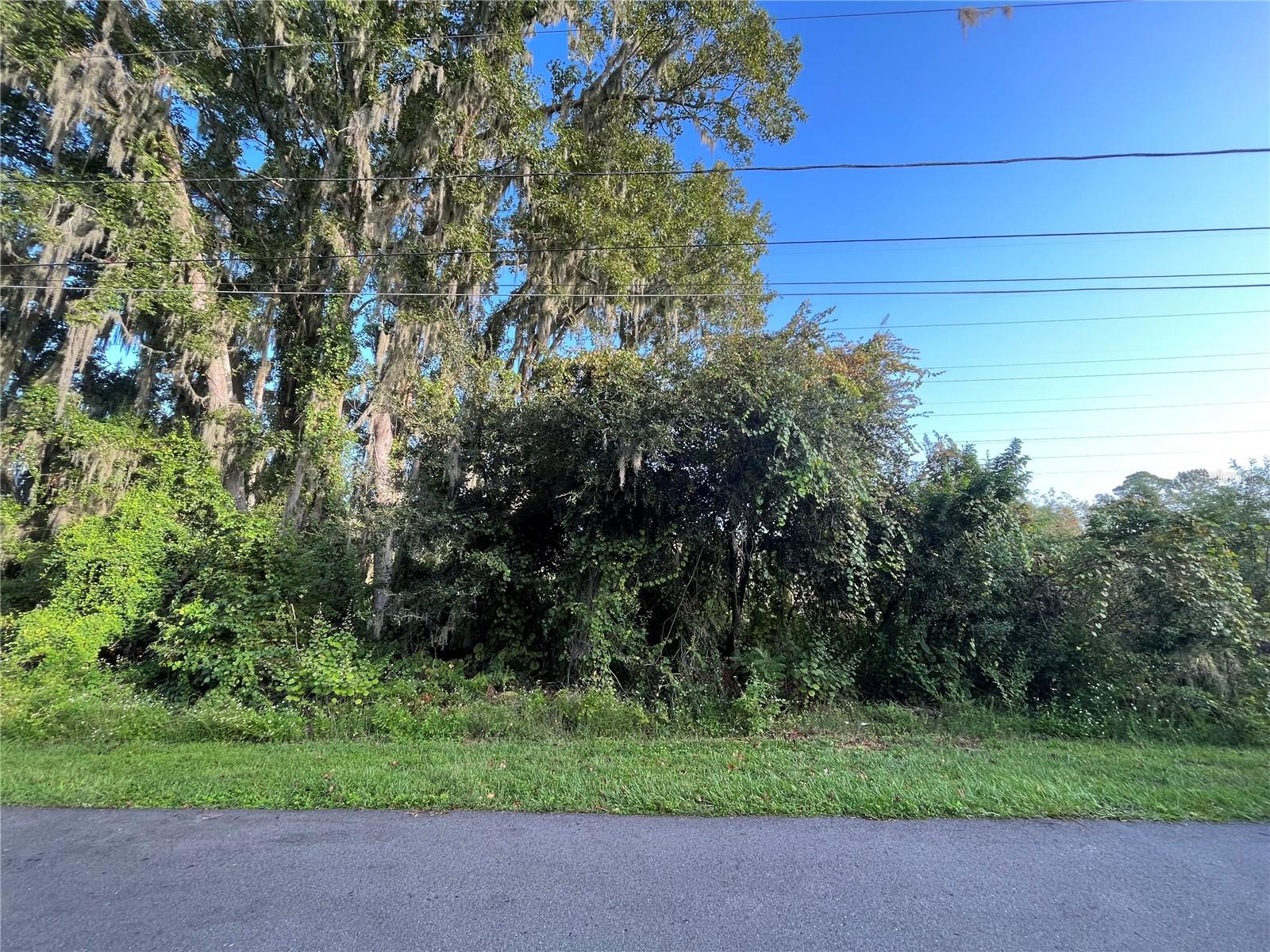 266 TOMS RD