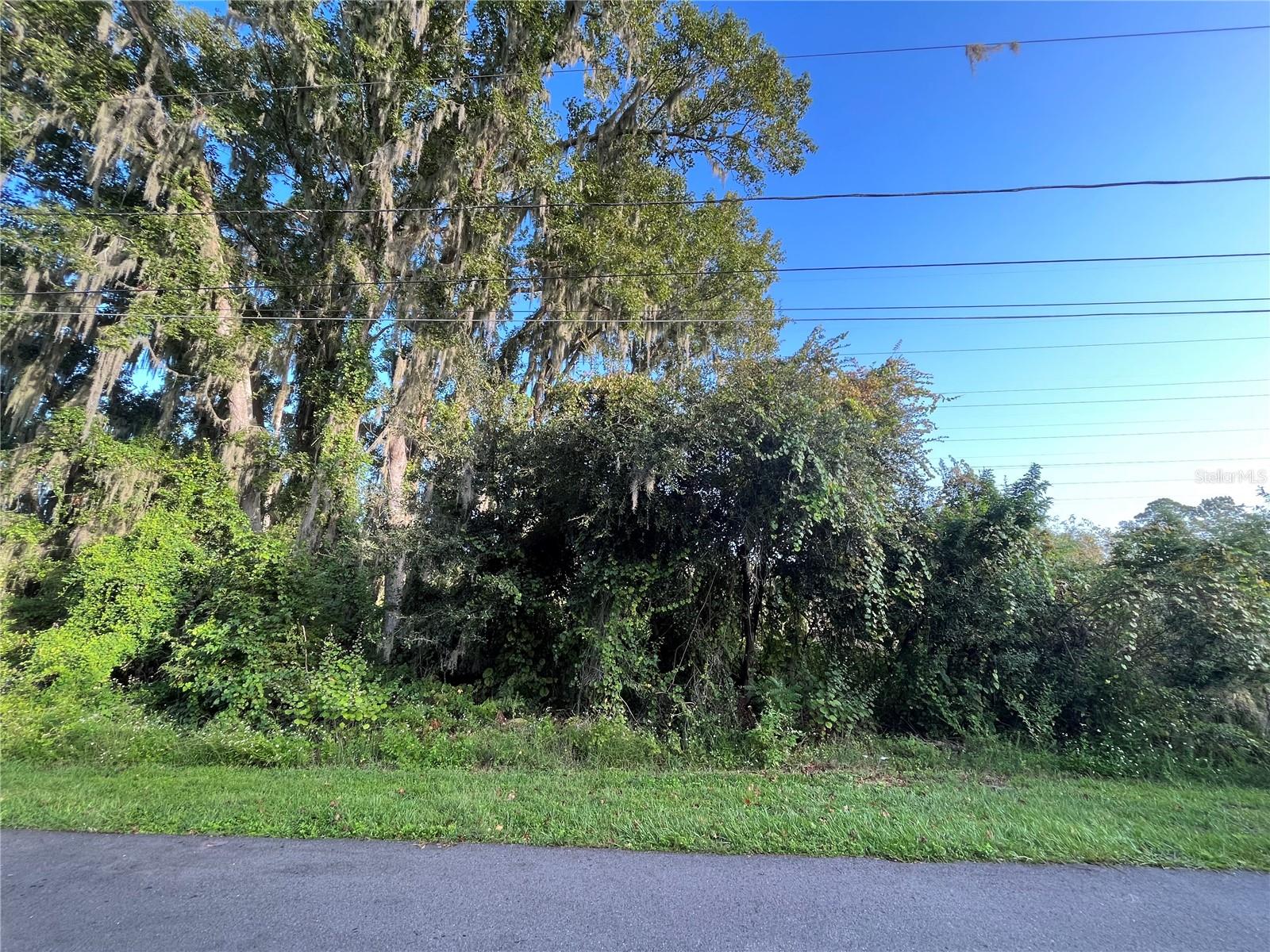 268 TOMS RD — photo 2