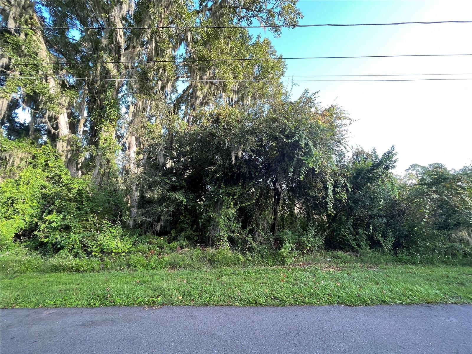 268 TOMS RD — photo 5