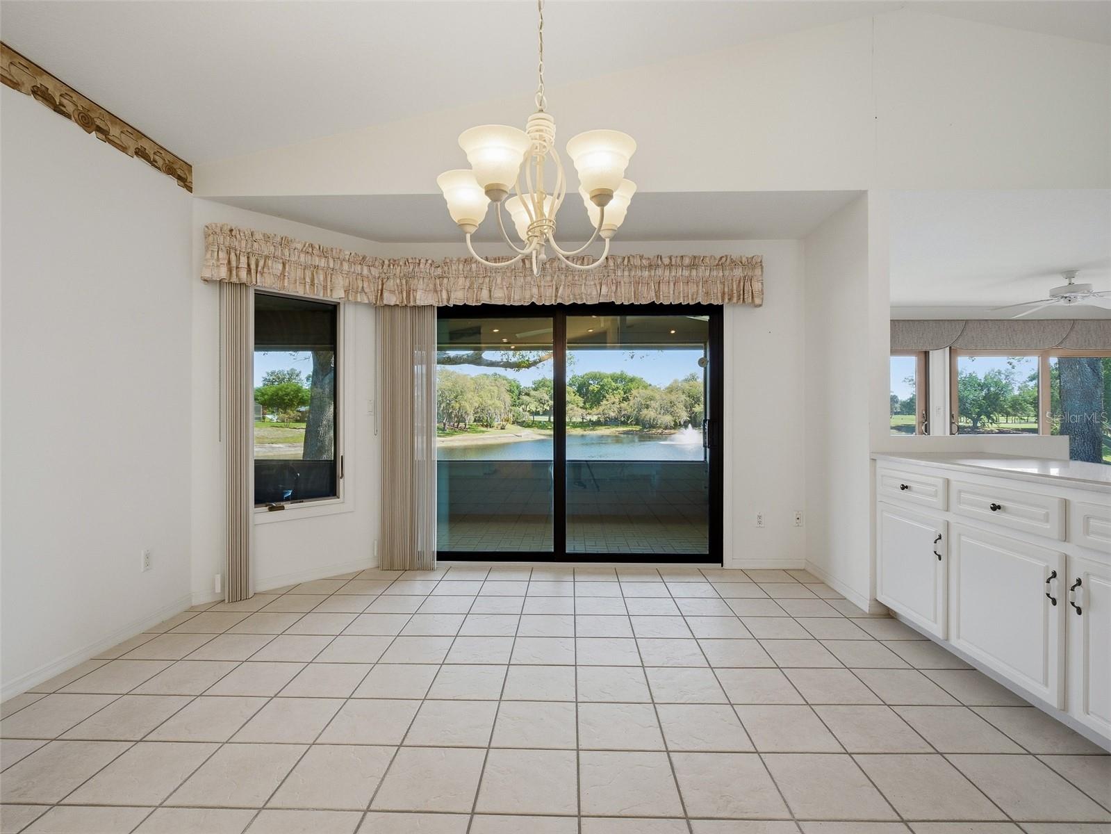 1107 LOCH LOMOND CT — photo 11