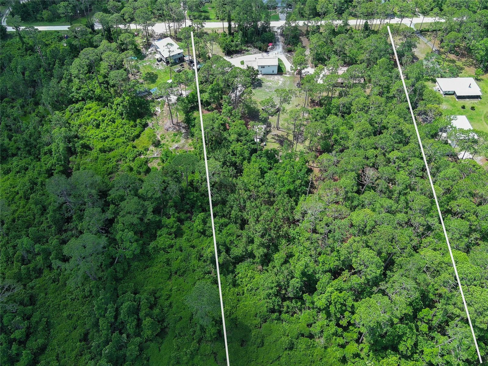 4135 QUAIL RANCH RD — photo 5