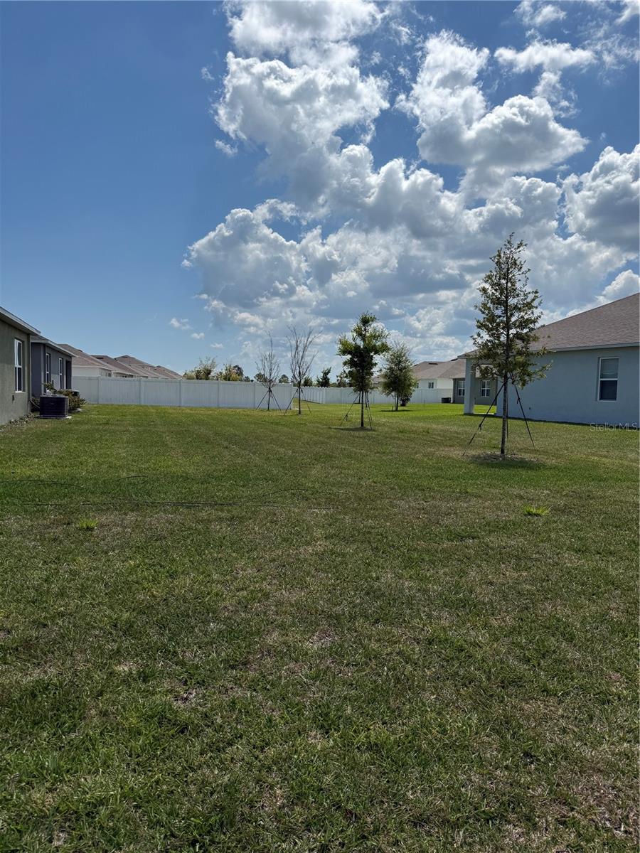 2665 NEVERLAND DR — photo 4