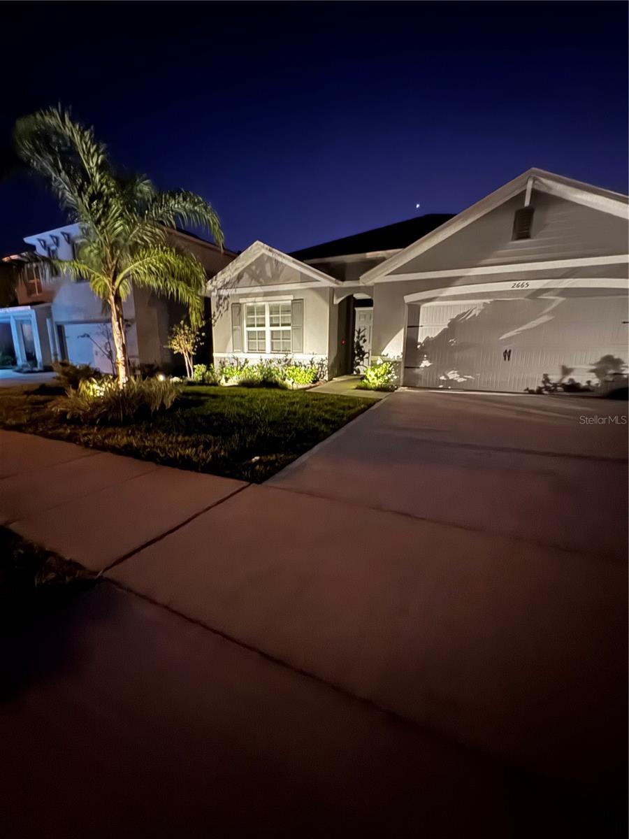 2665 NEVERLAND DR — photo 5