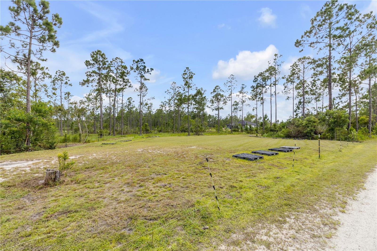 300 OMEGA RANCH RD — photo 8