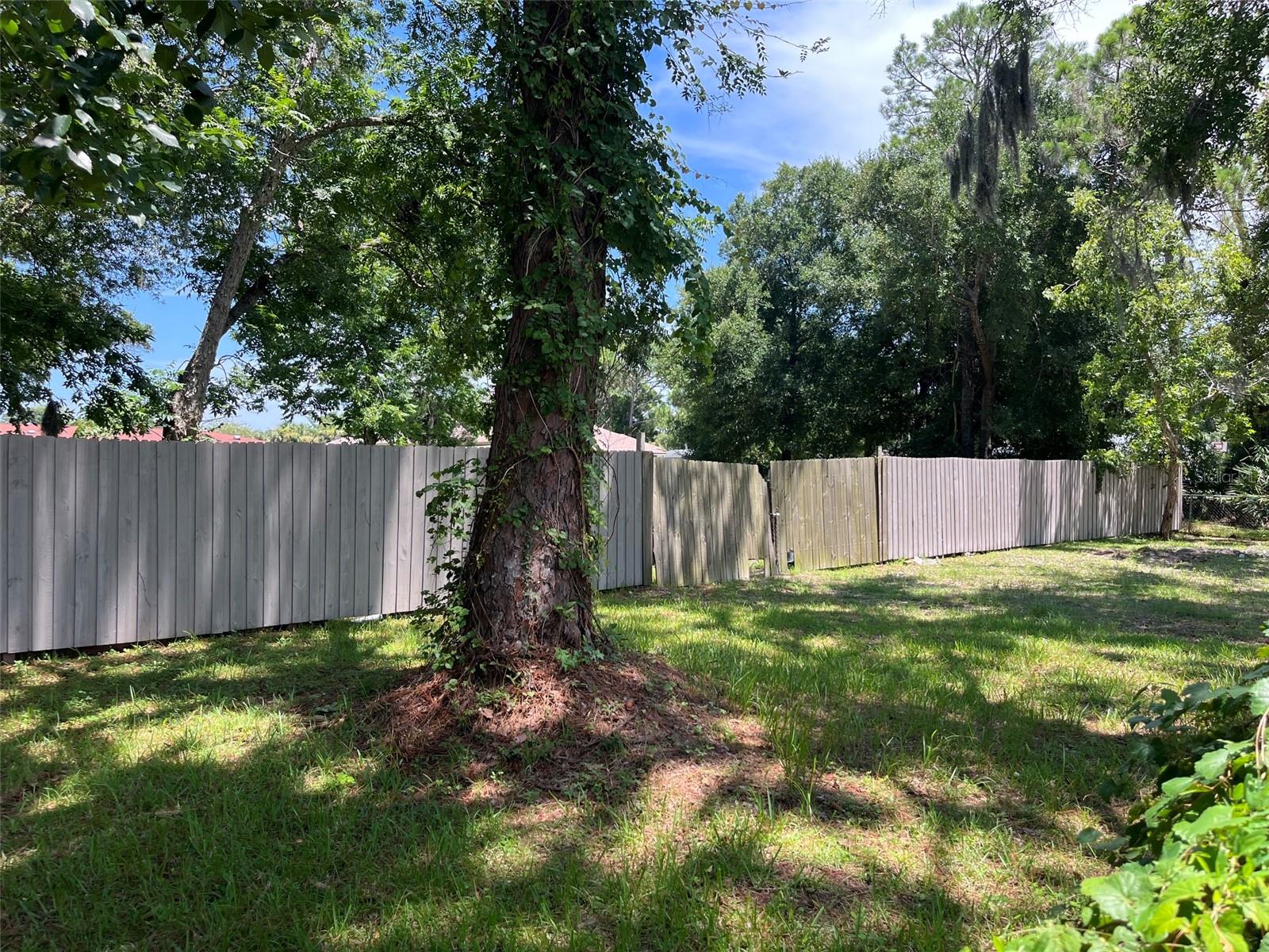 707 CHERRY ST — photo 4
