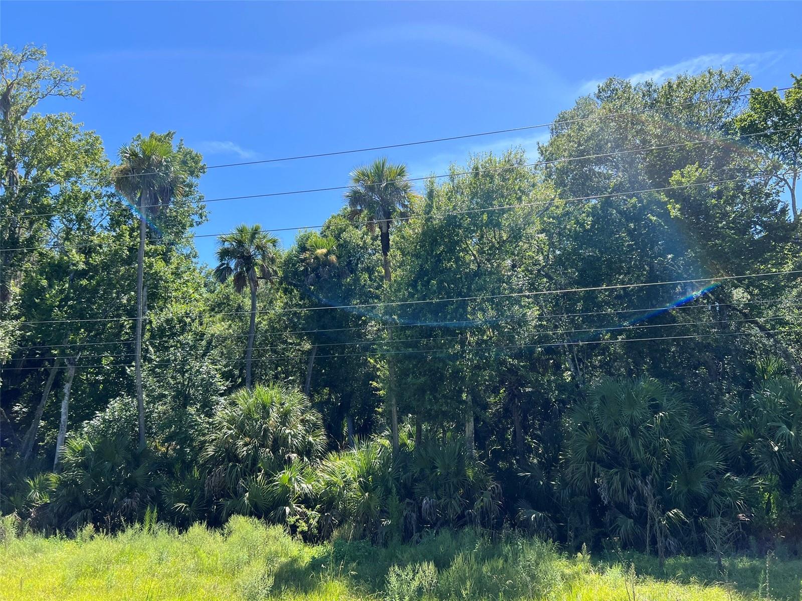 OLD MISSION RD — photo 11